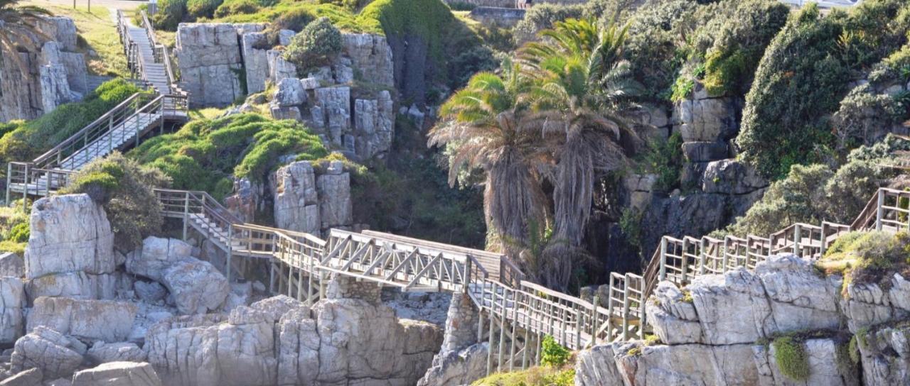 Hermanus Haven, Entire Home, On The Sea, Private Pool, Secure Eksteriør bilde