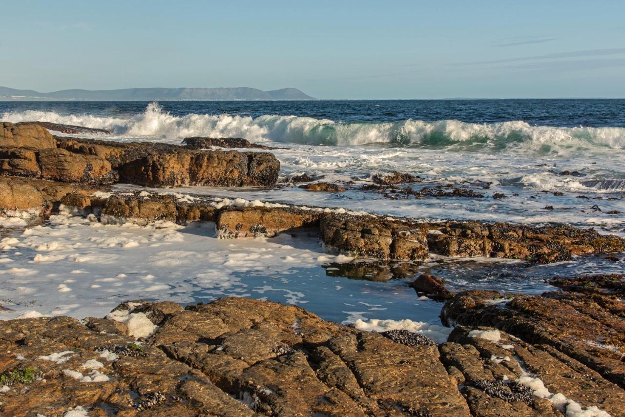 Hermanus Haven, Entire Home, On The Sea, Private Pool, Secure Eksteriør bilde